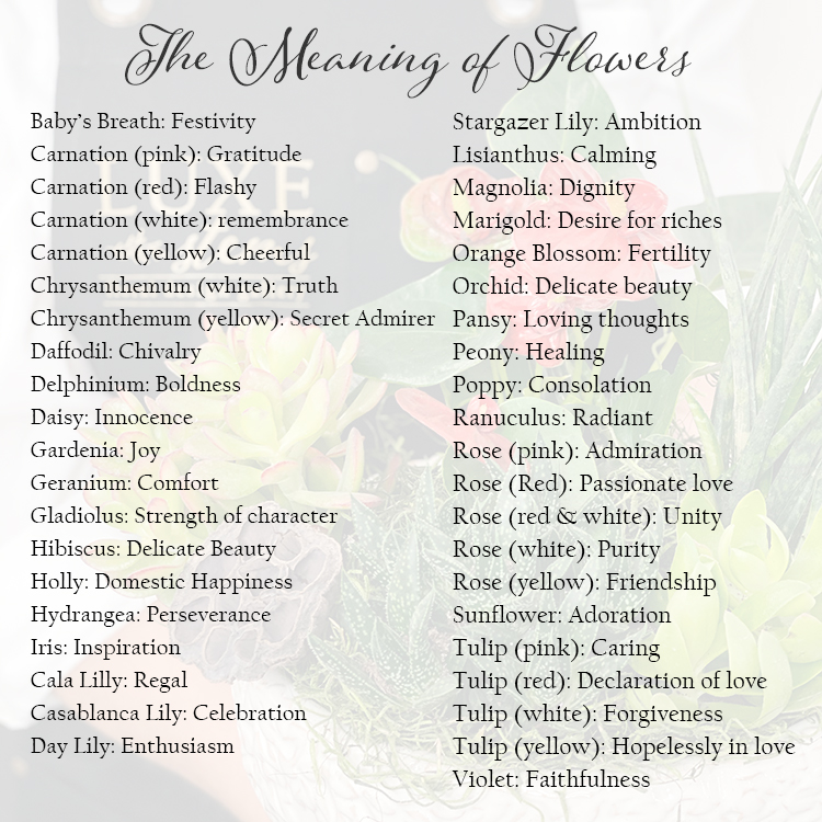 Different types of flowers and what they mean