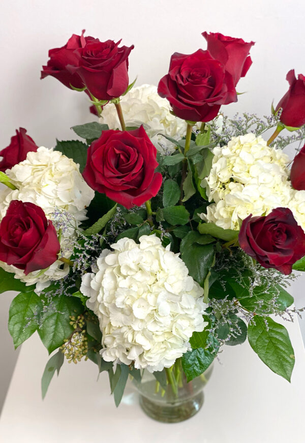Valentine's Day dozen roses hydrangeas