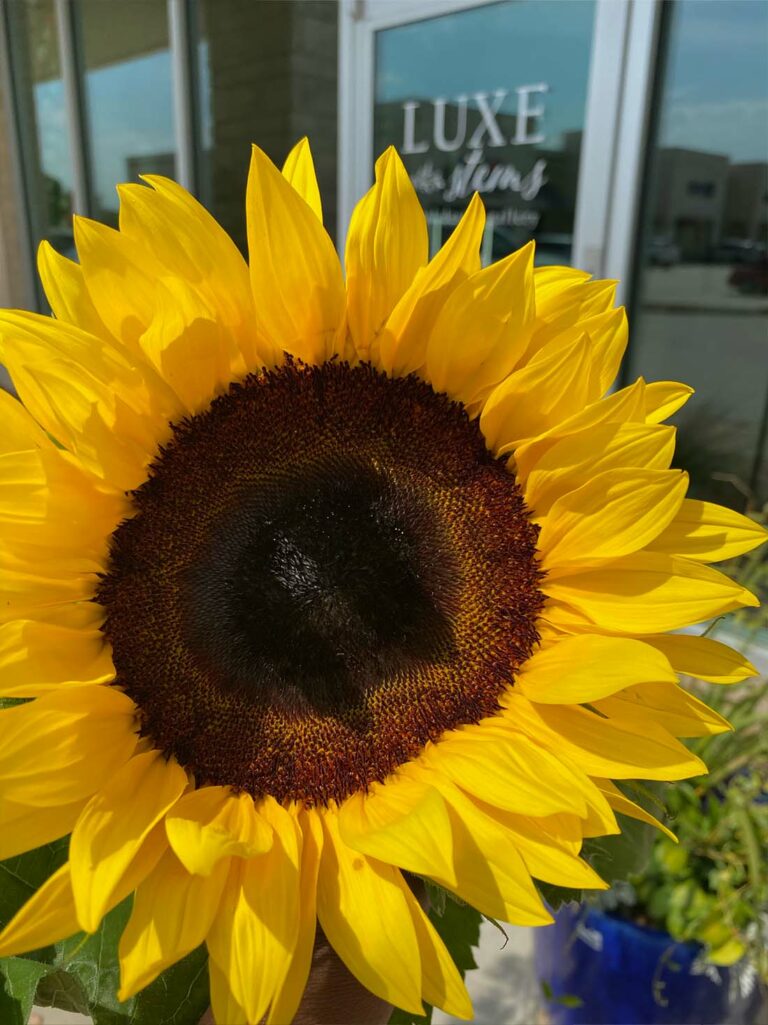 Your Frisco Fall Calendar Luxe Stems Floral Design Gallery