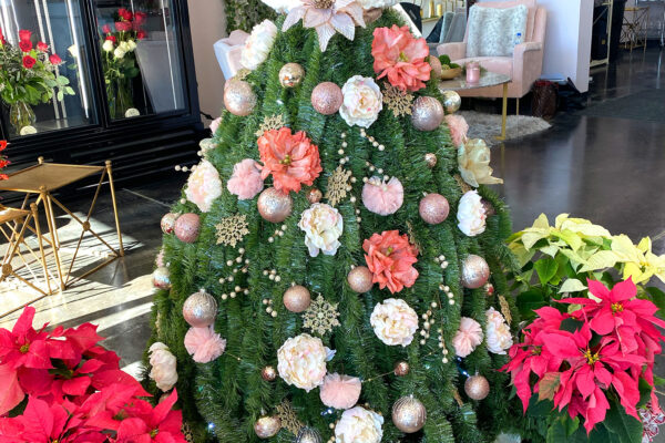 Favorite Christmas movies and flowers Frisco